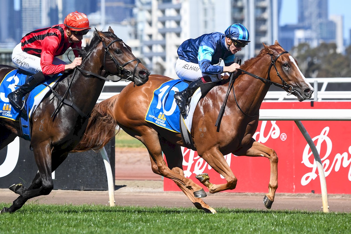 Archo Nacho & Ben Melham score in the Poseidon Stakes Archo Nacho & Ben Melham score in the Poseidon Stakes